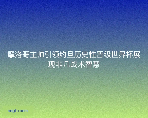摩洛哥主帅引领约旦历史性晋级世界杯展现非凡战术智慧